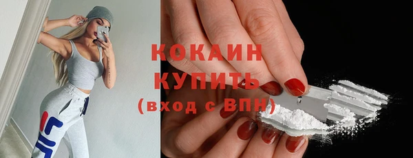 индика Каменск-Шахтинский