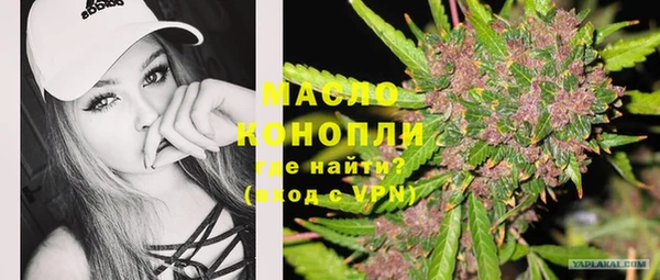 индика Каменск-Шахтинский