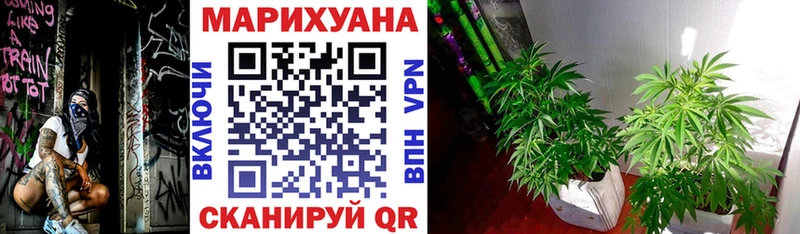 Канабис индика  Купить  Кадников 